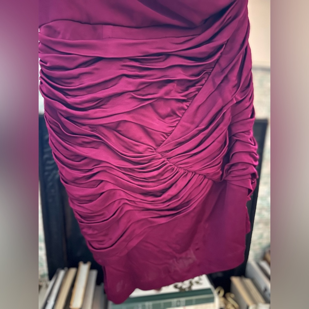 Fitted Raspberry Dress with Ruching - Picture 3 of 5